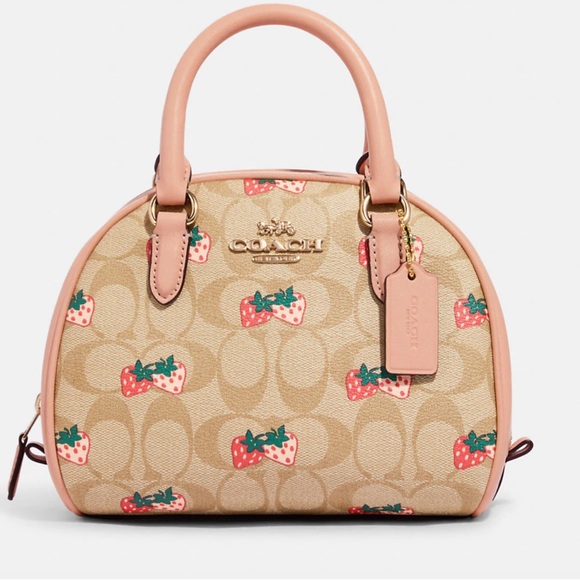 Coach Handbags - 🍓Coach Satchel🍓
